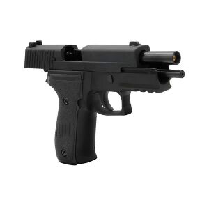 We Sig Sauer F226 + Green Gas + 0.20gr BB + Taşıma Çantası + Atış Gözlüğü