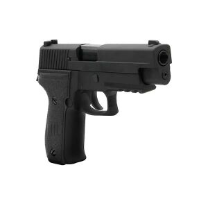 We Sig Sauer F226 + Green Gas + 0.20gr BB + Taşıma Çantası + Atış Gözlüğü