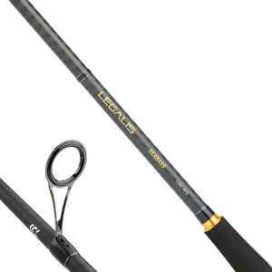 Daiwa Legalis Seabass BF 2.44m 10-35gr 2P Spin Olta Kamışı