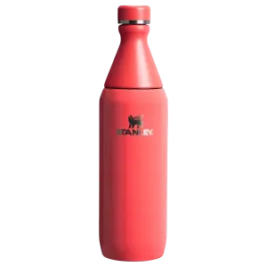 Stanley The All Day Slim 0.6L Soğuk İçecek Termosu