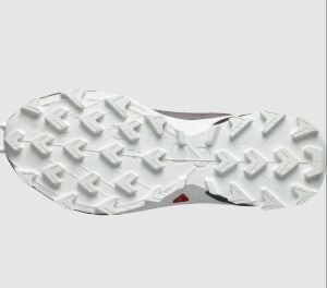 SALOMON ALPHACROSS 5 GTX W KADIN KOŞU AYAKKABISI L473110